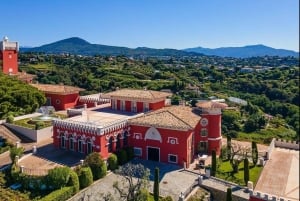 Nice City, Villefranche sur Mer and Wine Tasting