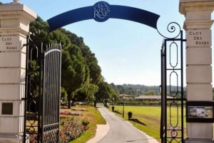 Nice: Clos des Roses wine tasting and lunch