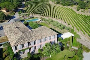 Nice: Clos des Roses wine tasting and lunch