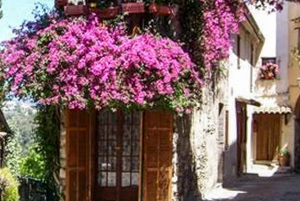 Nice: Countryside Tour with Grasse