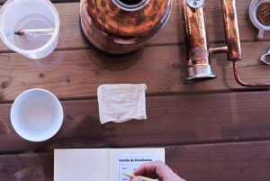 Nice: Craft your own gin with a master - 2 people