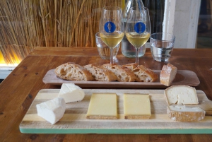 Nice: Discover our terroirs and enjoy a cheese and wine tasting