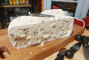 Nice: Discover our terroirs and enjoy a cheese and wine tasting