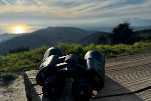 Nice: driving tour of the most beautiful viewpoints