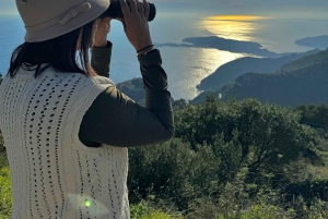 Nice: driving tour of the most beautiful viewpoints