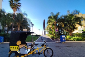 Nice: Electric Rickshaw City Tour with Local Guide
