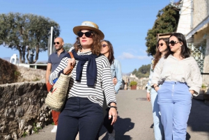 From Nice: Afternoon tour Grasse and Saint-Paul-de-Vence