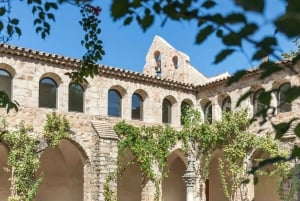 Nice: Full Day Trip Private Wine Tour (Cremat and more)