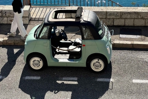 From Nice: Join a guide on an electric car ride along the French Riviera!