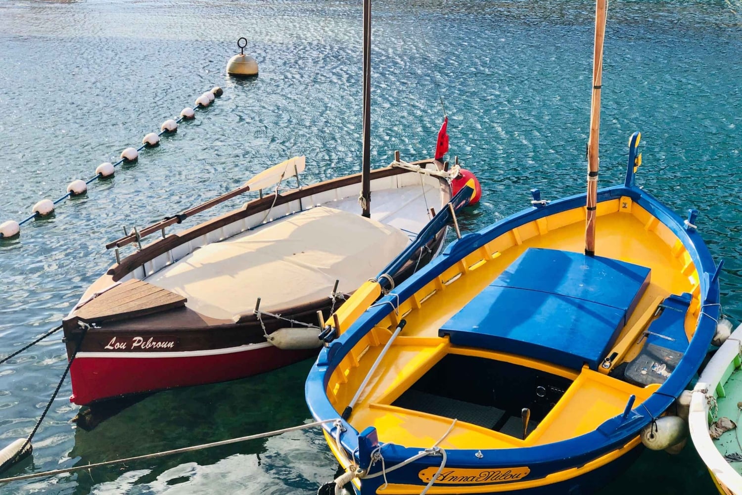 Nice: Guided Walking Tour in English