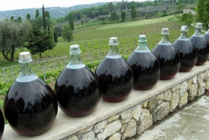 Nice: Half-Day Saint Paul de Vence and Wine Tasting Tour