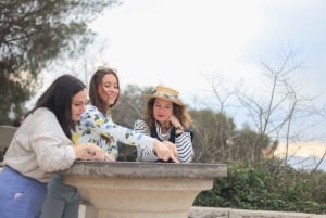 Nice: Half-Day Tour of Antibes and Cannes