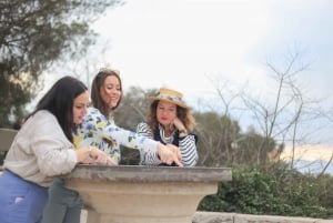 Nice: Half-Day Tour of Antibes and Cannes