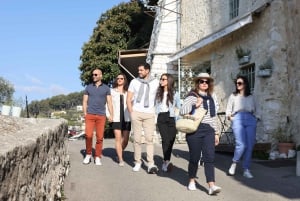 Nice: Half-Day Tour of Antibes and Cannes