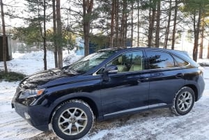 Nice Intl Airport (NCE): Private Transfer to Cannes hotels