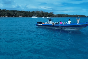 Nice: Lerins Islands Boat Tour with Snorkeling
