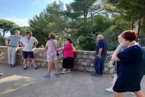 Nice : Old Town and Castle Hill Walking Tour
