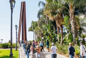 Nice: Old Town & Castle Hill Informative Guided Walking Tour