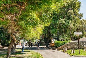 Nice: Old Town & Castle Hill Informative Guided Walking Tour