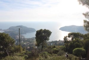 Nice Panorama Tour in a Méhari — Promenade & Plateau Saint-Michel