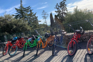 Nice: Panoramic French Riviera E-Bike Tour