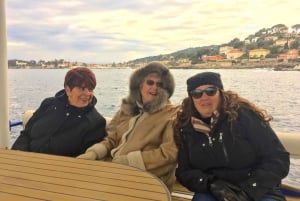 Nice: Private French Riviera Solar Boat Cruise