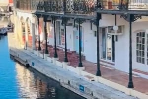 Nice: Saint-Tropez and Port Grimaud Emotional Freedom Tour