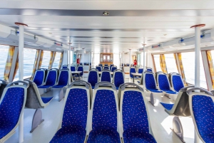 Nice to Monaco Round-Trip Ferry Tickets