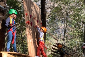 Nice: Tree climbing discovery for kids in a natural setting