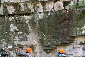 Nice: Tree climbing discovery for kids in a natural setting