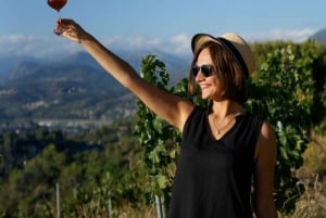Nice: Vineyard Tour with Wine Tasting