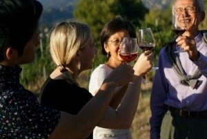 Nice: Vineyard Tour with Wine Tasting