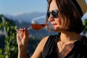Nice: Vineyard Tour with Wine Tasting