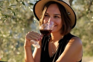 Nice: Vineyard Tour with Wine Tasting