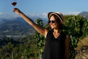 Nice: Vineyard Tour with Wine Tasting