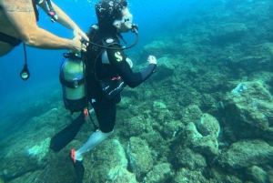 Nice : VIP sea tour with snorkeling & discover scuba