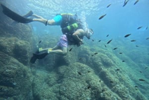 Nice : VIP sea tour with snorkeling & discover scuba