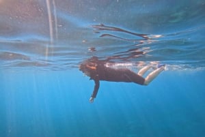 Nice : VIP sea tour with snorkeling & discover scuba