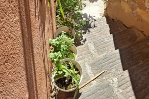 Nice: visit the city in the form of an unusual treasure hunt.