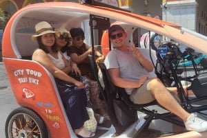 Nice : Visite guidée privé 40min en pouss pouss électrique.