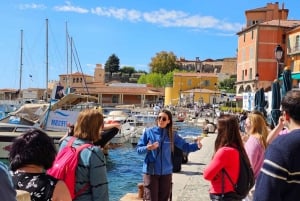 Nice: Old City Highlights Walking Tour with a local guide