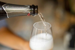 Frecnh Wine Tasting in City Center of Nice