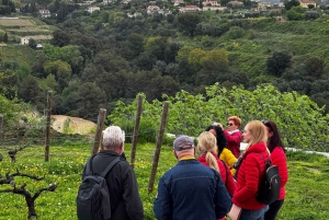 Nice : Wine Tasting in backcountry in Defender