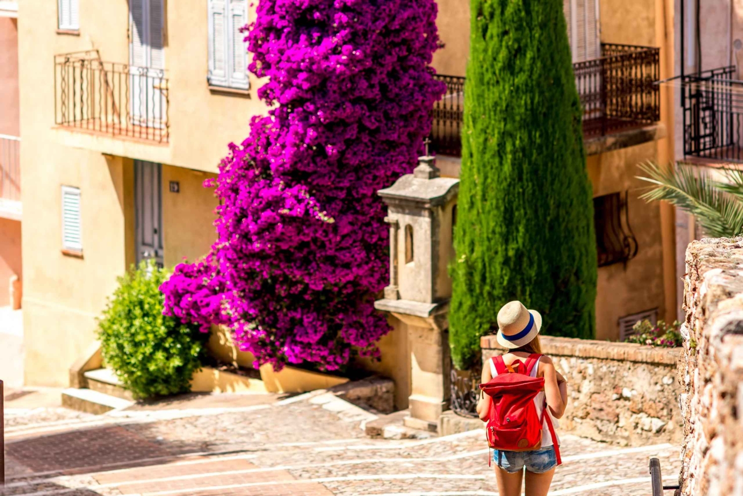 Private day trip from Monaco to the gems of French Riviera