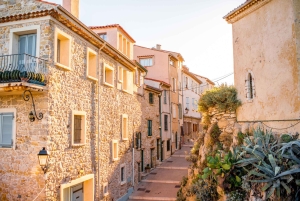 Private day trip from Monaco to the gems of French Riviera