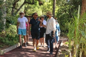 Private Full-Day Tour: Eze, Monaco & Monte-Carlo