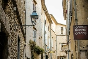 Private Half-Day Tour: Eze & Saint-Paul de Vence