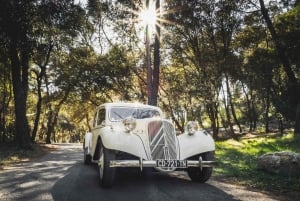 Private Half-Day Tour of the French Riviera in a Vintage Car