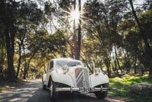 Private Half-Day Tour of the French Riviera in a Vintage Car
