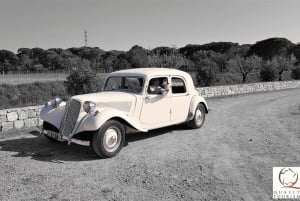 Private Half-Day Tour of the French Riviera in a Vintage Car